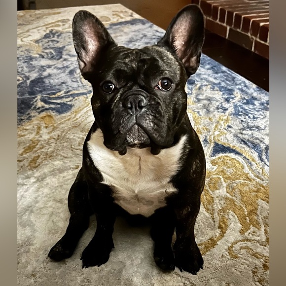 BJ’s Crazy Live Show! - Picture 11 of 11